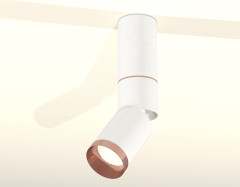 Спот Ambrella Light Techno Spot XM6312145 (C6322, A2063, A2220, C6312, N6135)