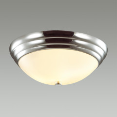 Настенно-потолочный светильник Lumion Vintage 5261/2C
