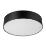 Потолочный светильник Citilux Bart CL755291
