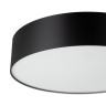Потолочный светильник Citilux Bart CL755291