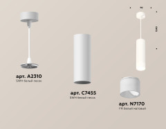 Подвесной светильник Ambrella Light Techno Spot XP7455004 (A2310, C7455, N7170)