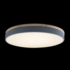 Потолочный светильник Loft IT AXEL 10001/36 Grey