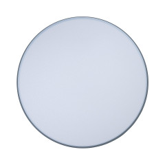 Потолочный светильник Loft IT AXEL 10001/36 Grey