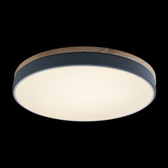 Потолочный светильник Loft IT AXEL 10001/36 Grey