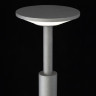 Ландшафтный светильник Citilux Dorn CLU05B