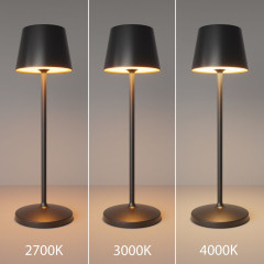 Настольная лампа с аккумулятором Maytoni Nook MOD494RL-L1BK