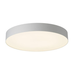 Потолочный светильник Citilux Bart CL755490