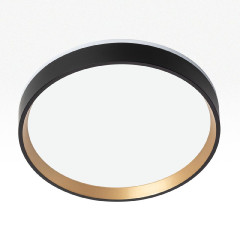 Настенно-потолочный светильник Citilux Etalon CL750241