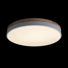 Потолочный светильник Loft IT AXEL 10001/36 White