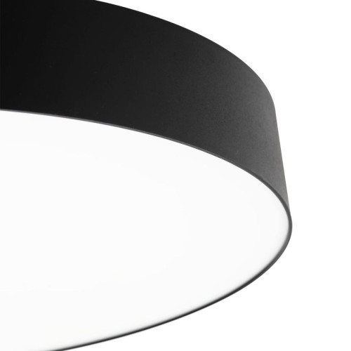 Потолочный светильник Citilux Bart CL755491