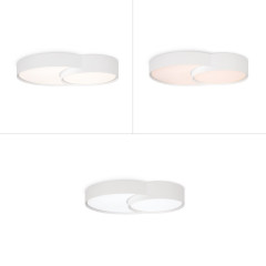 Потолочный светильник Freya Items FR6094CL-L72W