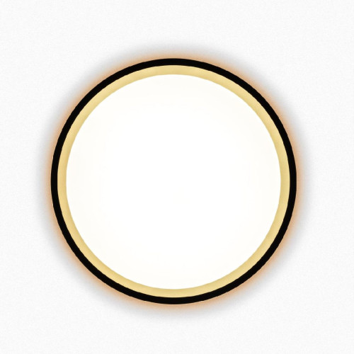 Настенно-потолочный светильник Citilux Etalon CL750181