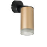 Встраиваемый спот Lightstar Rullo RB44030 (214440+590007+202430)