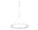 Подвесная люстра Ambrella Light Comfort FL5844