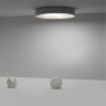 Потолочный светильник ImperiumLoft Ecla 101547-26
