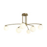 Потолочная люстра Freya Hanger FR5443CL-06BS