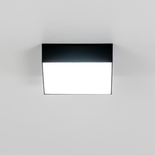 Накладной светильник Citilux Тао CL712X122N