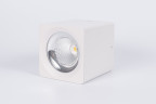 Накладной светодиодный светильник Fiberli CH-SD220-1(W) 12120103