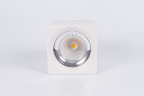 Накладной светодиодный светильник Fiberli CH-SD220-1(W) 12120103