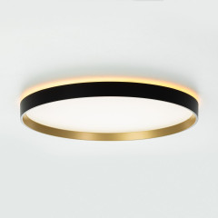 Потолочный светильник Citilux Etalon CL750401R