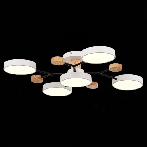 Люстра на штанге Evoluce Faema SLE6006-502-05