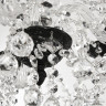 Подвесная люстра Bohemia Ivele Crystal AL16309/5/141 BM