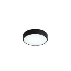 Потолочный светильник Zortes Tortty ZRS.02563.36