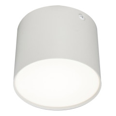 Потолочный светильник 20004 20004SMU/01LED SWH
