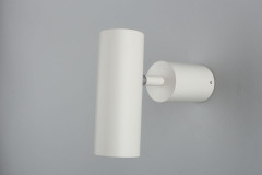 Настенно-потолочный светильник Aployt Berenis APL.007.02.01