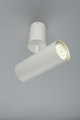 Настенно-потолочный светильник Aployt Berenis APL.007.02.01