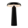 Настольная аккумуляторная лампа Freya Mushroom FR6109TL-L4B