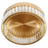 Потолочный светильник MyFar Irina MR2010-1CL