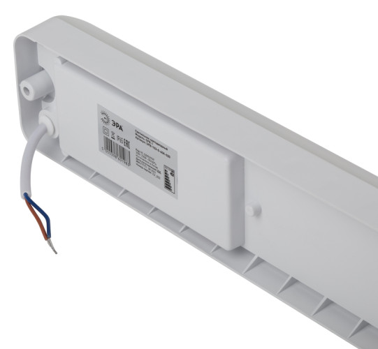 Настенно-потолочный светильник Эра SPB-103-0-40K-020 Б0052939