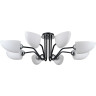Потолочная люстра Illumico IL0448-8CSQ-79 BK