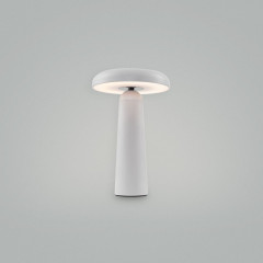 Настольная аккумуляторная лампа Freya Mushroom FR6109TL-L4W