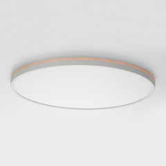 Потолочный светильник Citilux Norma CL749500
