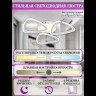 Потолочный светильник Natali Kovaltseva LED LAMPS 81127/3C