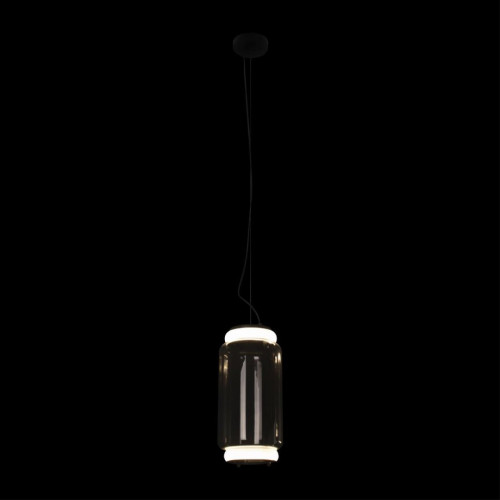 Подвесной светильник Loft IT Noctambule 10194/S