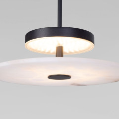 Подвесной светильник Eurosvet Thasos 40342 LED черный a069278