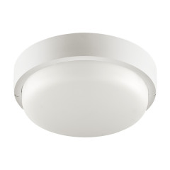 Настенно-потолочный светильник Wolta LCL04-8W-R21-6K-SM