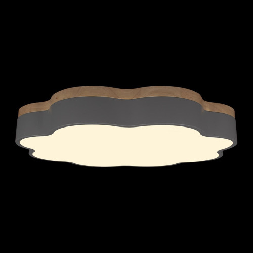 Потолочный светильник Loft IT Axel 10225/36 Grey