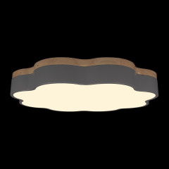 Потолочный светильник Loft IT Axel 10225/36 Grey