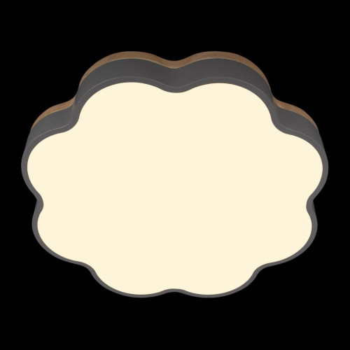 Потолочный светильник Loft IT Axel 10225/36 Grey