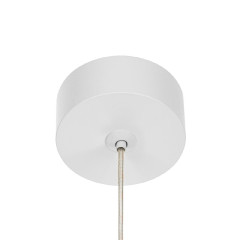 Подвесной светильник Citilux Bruno CL565010
