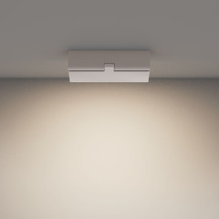 Настенно-потолочный светильник Maytoni Basis Rot C133CL-12W4K-W