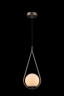 Подвесной светильник Loft IT GLOB LOFT2599-B