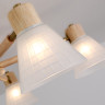 Люстра на штанге Arte Lamp Meleph A4096PL-8BR