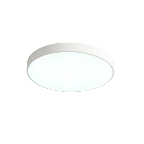 Потолочный светильник Zortes Tortty ZRS.02564.72