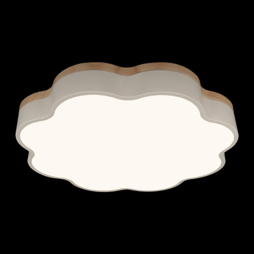 Потолочный светильник Loft IT Axel 10225/36 White