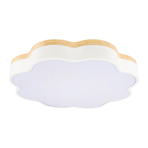 Потолочный светильник Loft IT Axel 10225/36 White